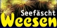 Seefest Weesen